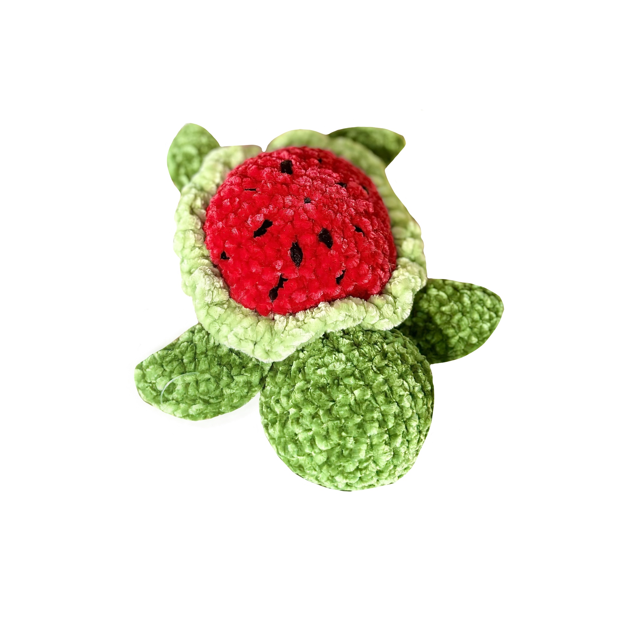 Adopt A Turtle Ezri Art can-you-get-into-canada-with-a-dui-generally-you-cannot-enter-canada